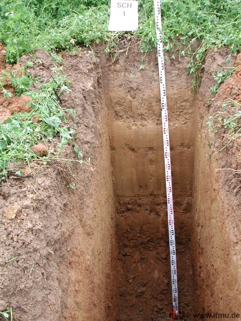 Exploratory Test Pit Investigation in Basildon